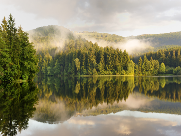 Wanderparadies Harz Naturpark Harz mit See im Nebel
