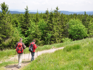Wanderer in Wald- und Wiesenlandscahft