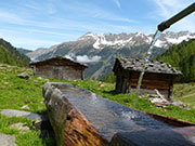 Wasserquelle in den sonnigen Bergen. 