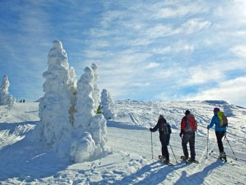 Eine verschneite Winterlandschaft in der Oberpflaz