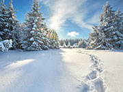 Sonnige Winterlandschaft Fußspuren in weißer Schneelandschaft.