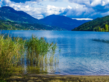 Ufer des Millstätter Sees mit Schilf und den Bergen im Hintergrund