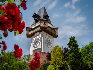 Uhrenturm mit Rosen aus der Froschperspektive